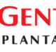 logox2